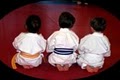 Japan Karate Institute image 2