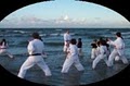 Japan Karate Institute image 3