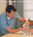 Johns Creek Veterinary Clinic image 4