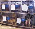 Johns Creek Veterinary Clinic image 7