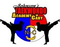 Johnson's TaeKwonDo Academy of Cary logo