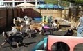 Kate's Canine Resort image 1