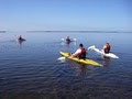 Kayak Excursions image 2