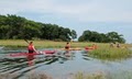 Kayak Excursions image 3
