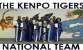 Kenpo Tigers image 2