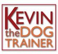 Kevin the Dog Trainer image 1