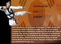 Kim's Martial Arts Academy/Tae Kwon Do, Judo image 7