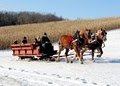 Kimball Farm logo