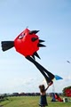 Kitt Kites image 8