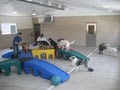 Kountry Kennels Pet Resort & Spa-Boarding, Grooming, and Daycare image 2