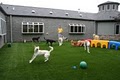 Kountry Kennels Pet Resort & Spa-Boarding, Grooming, and Daycare logo