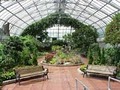 Krohn Conservatory image 1