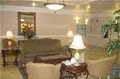 La Quinta Inn & Suites Mission at West McAllen image 4
