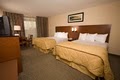 Lake Buena Vista Resort - A Best Western Hotel image 6