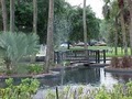 Lake Eola Park image 5