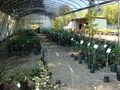 Land Arts Nursery, Inc. image 4