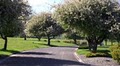 Lane Memorial Gardens & Funeral Home image 2