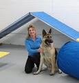 Leader of the Pack Canine Institute Dog Training & Dog Day Care Allentown image 6