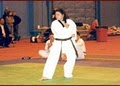 Lee Brothers Martial Arts Schl image 4