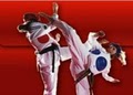 Lee Brothers Martial Arts Schl logo