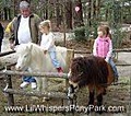 Lil Whispers Pony Park image 5