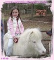 Lil Whispers Pony Park image 10