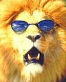 Lion's Pride Framing image 1
