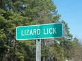 Lizard Lick Towing and Recovery LLC image 3
