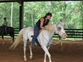 Lonesome Creek Stables Equine Training Center image 2