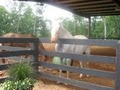 Lonesome Creek Stables Equine Training Center image 4