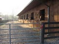 Lonesome Creek Stables Equine Training Center image 1