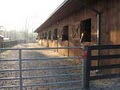 Lonesome Creek Stables Equine Training Center logo