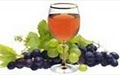 Lubo Wine Tasting Room image 2