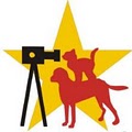 Lucky Dog Academy image 6