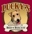 Lucky's Bed & Biscuit logo