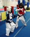 Mahanaim Taekwondo Studio image 7