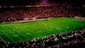 Mall of America Field at Hubert H. Humphrey Metrodome image 6