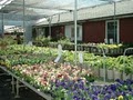 Malmborg's Garden Center image 3