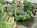 Malmborg's Garden Center image 4