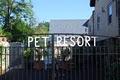 Mamaroneck Veterinary Hospital & Pet Resort image 2