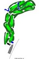Maple Creek Golf Course logo