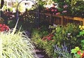 Martha Wassermann Landscape Design and Services LLC image 5