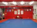 Martial Arts USA image 3