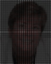 Mary C. Fondren, DVM image 1