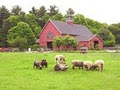 Mass Audubon's Drumlin Farm Wildlife Sanctuary logo