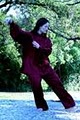 Master Gohring's Tai Chi & Kung Fu image 8
