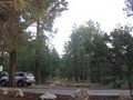 Mather Campground image 8
