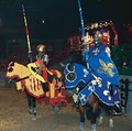 Medieval Times Dinner & Tournament image 8