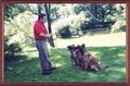 Michael Burkey's Canine Behavioral Training image 2