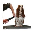 Mickey's Pet Grooming Bath & Boutique - Pet Supplies, Pet Food image 3